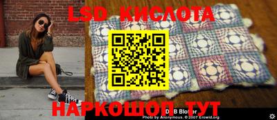 ГАЛЛЮЦИНОГЕННЫЕ ГРИБЫ Можга