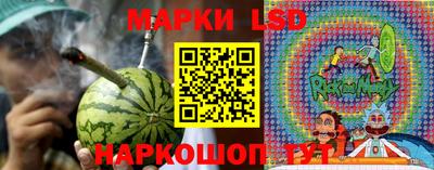 ГАЛЛЮЦИНОГЕННЫЕ ГРИБЫ Можга