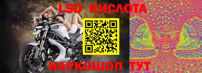 шишки Можайск