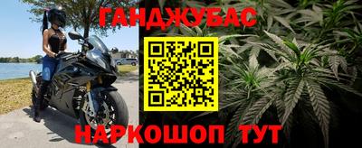 ГАЛЛЮЦИНОГЕННЫЕ ГРИБЫ Можга