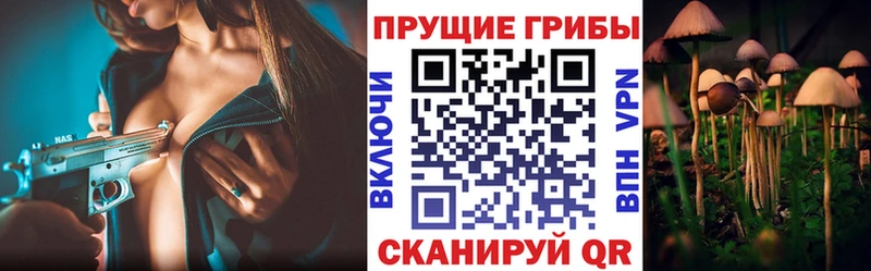 Галлюциногенные грибы ЛСД  Вязники 