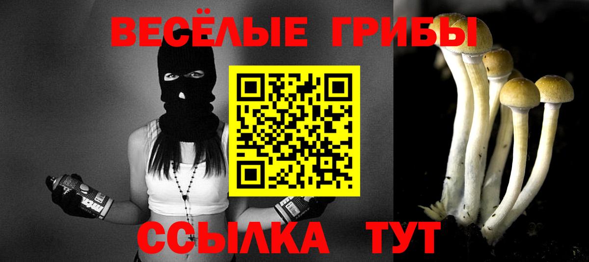 Псилоцибиновые грибы мицелий  Псилоцибиновые грибы ЛСД  купить наркоту  Вход с VPN  Вязники 